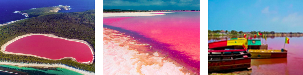 capture-decran-2025-10-03-a-12.27.31