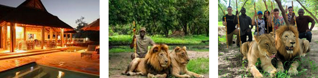 capture-decran-2025-10-04-a-15.18.32