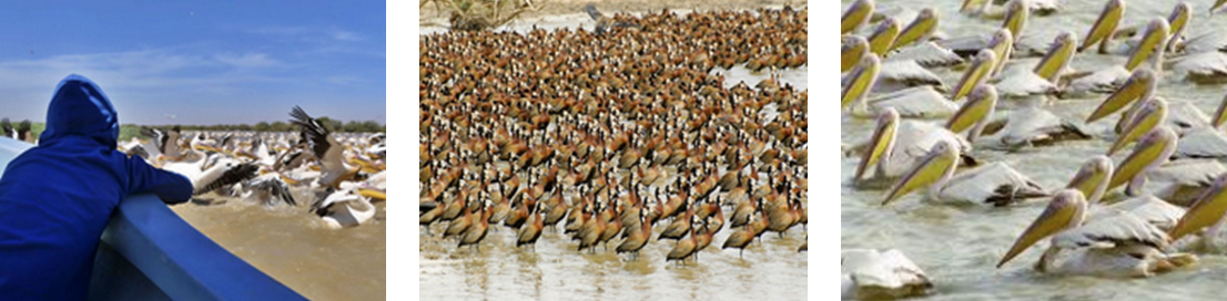 capture-decran-2025-10-09-a-16.20.28